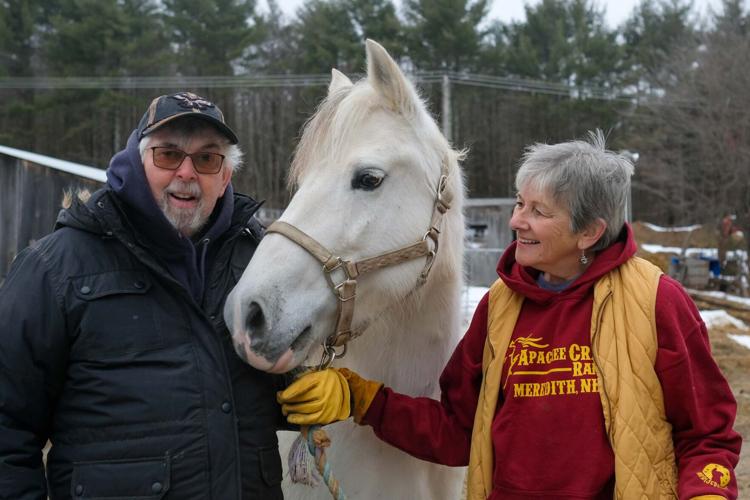 Saving wild horses